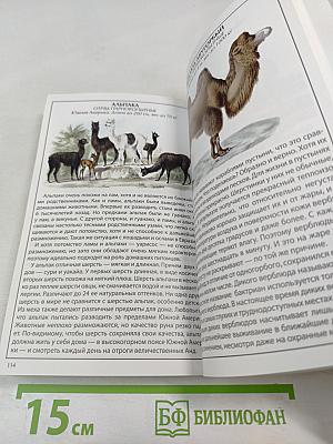 Иллюстрированный справочник Животные