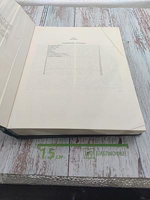 Большой англо-русский словарь. Том I (А-М)