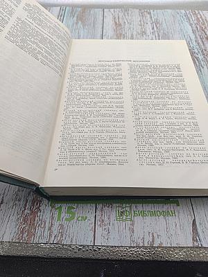 Большой англо-русский словарь. Том I (А-М)