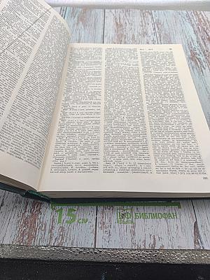 Большой англо-русский словарь. Том I (А-М)