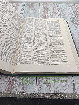 Большой англо-русский словарь. Том I (А-М)