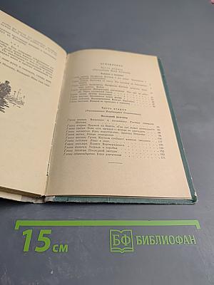 Домик на болоте