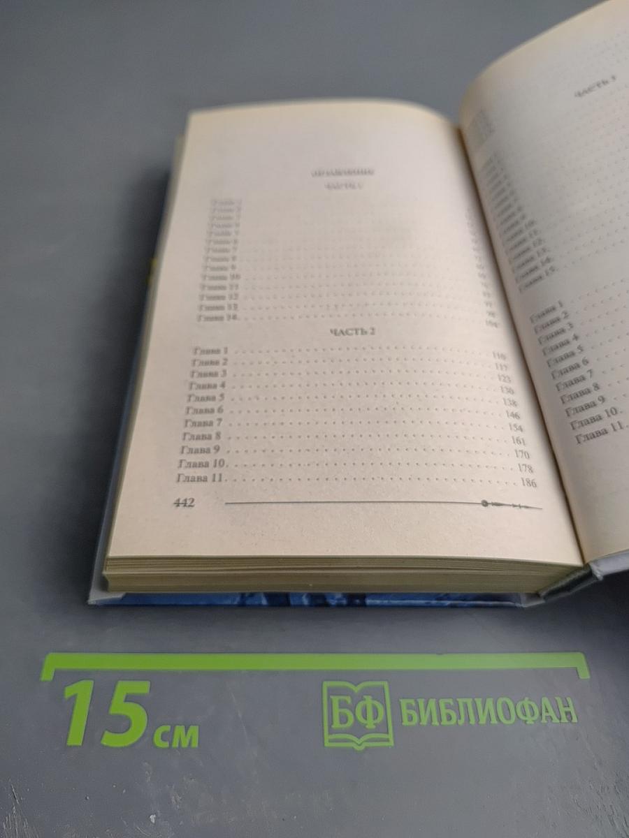 Ричард Длинные Руки – майордом