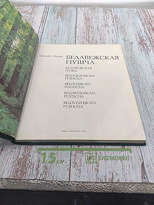 Белавежская пушча