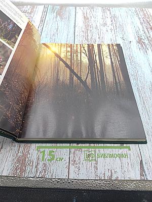 Белавежская пушча