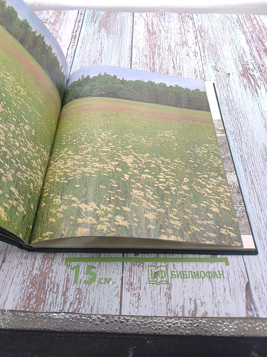 Белавежская пушча