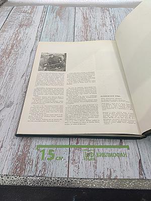 Белавежская пушча