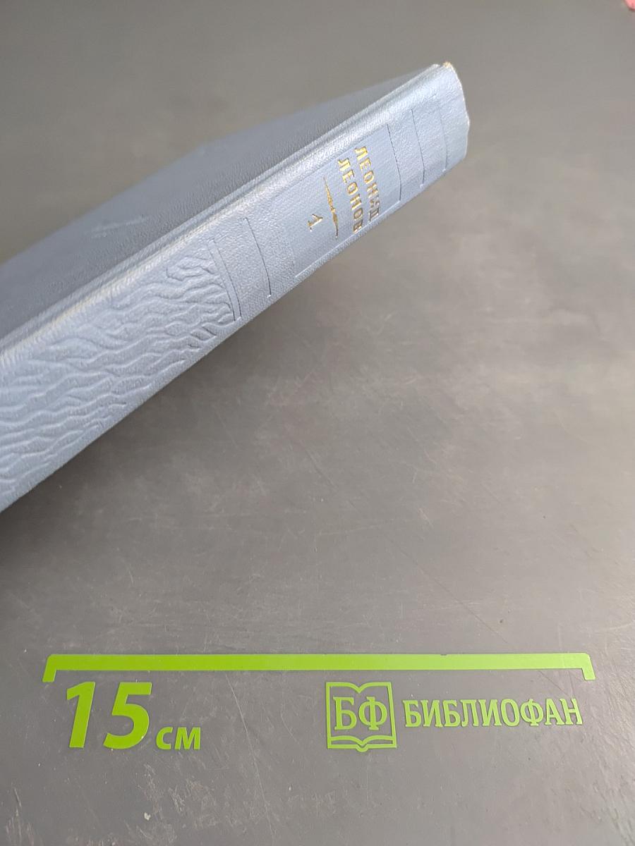 Барсуки. Том I