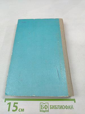 Пятнадцатилетний капитан