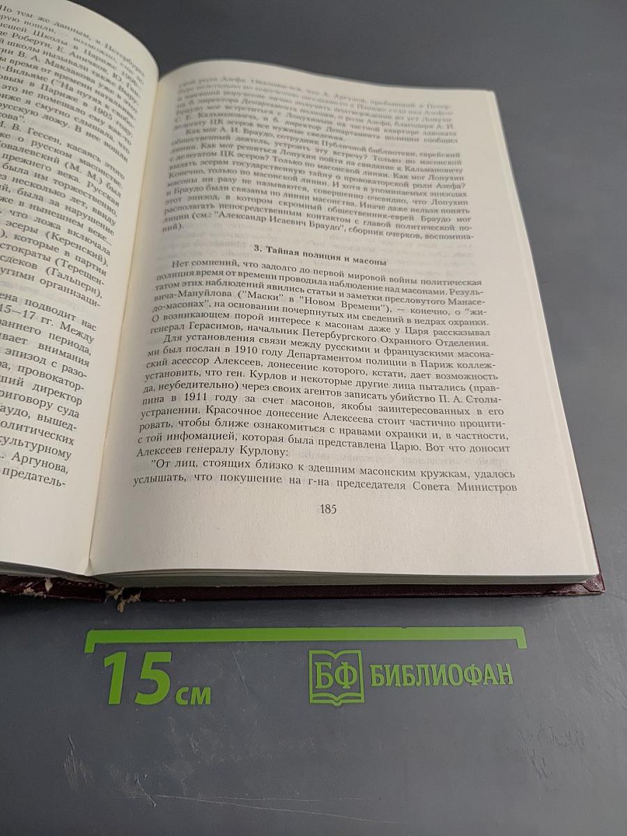 Терновый венец России. Тайная история масонства. Т. II
