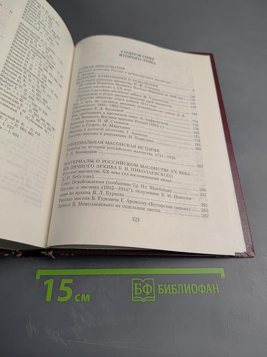 Терновый венец России. Тайная история масонства. Т. II