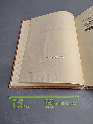 Русские женщины