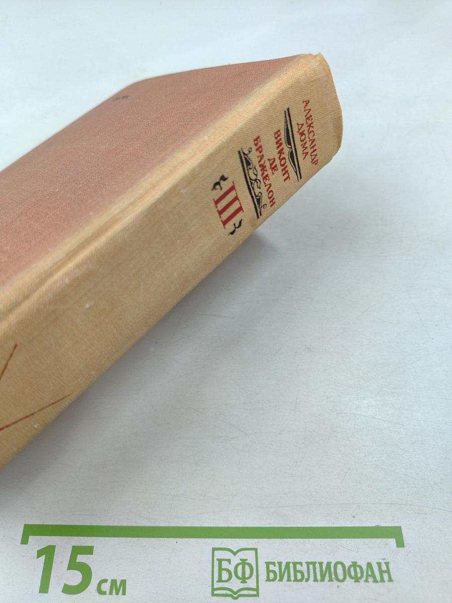 Виконт де Бражелон, или Десять лет спустя. Часть III