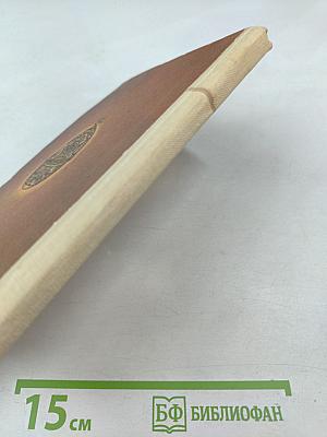 Портрет механика Кулибина