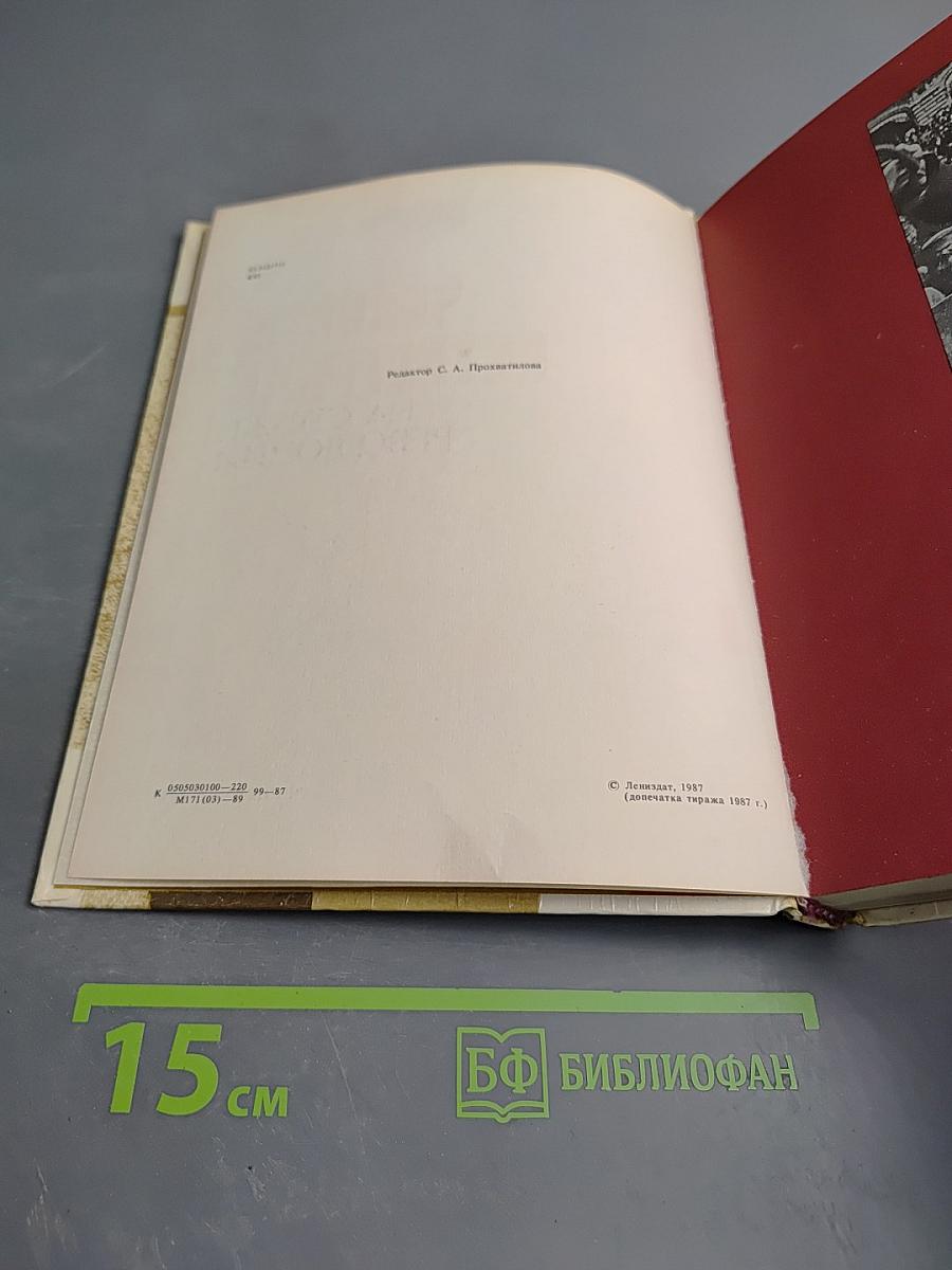 Чекисты Петрограда на страже революции. Книга 2