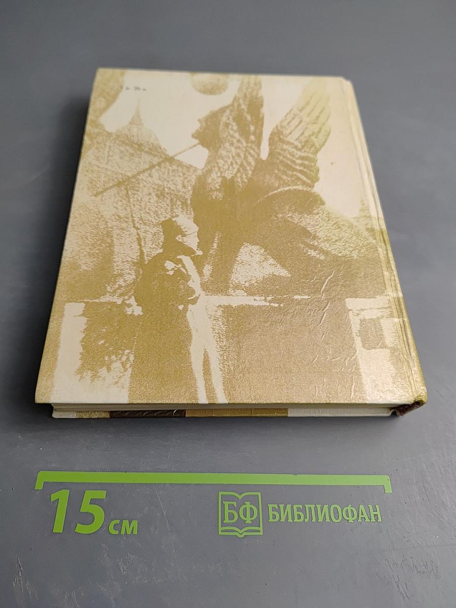 Чекисты Петрограда на страже революции. Книга 2