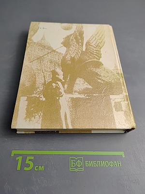 Чекисты Петрограда на страже революции. Книга 2