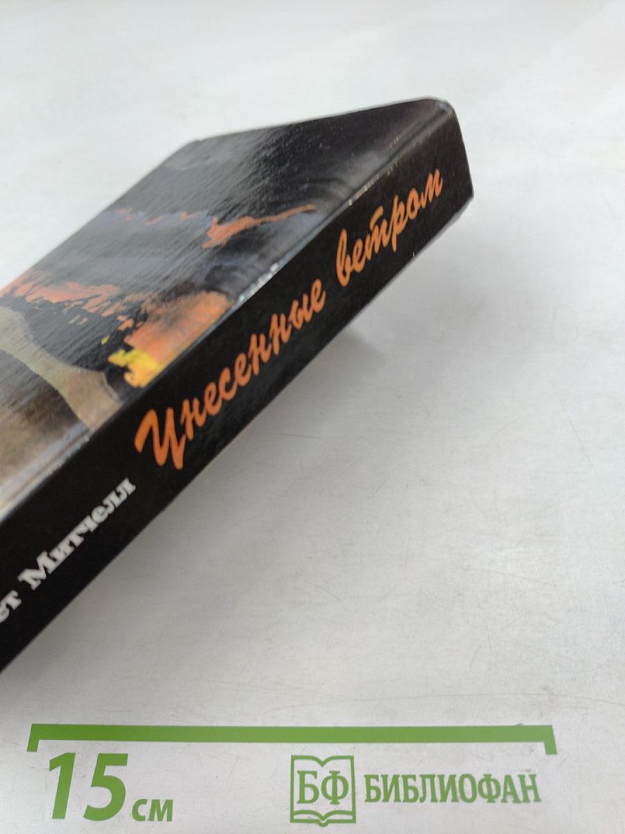 Унесенные ветром, Том 2