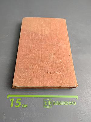 Дикий хмель