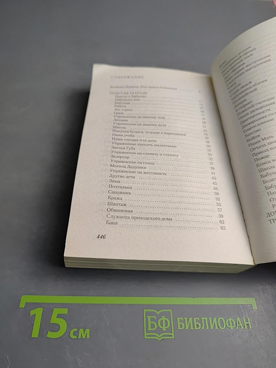 Толстая тетрадь