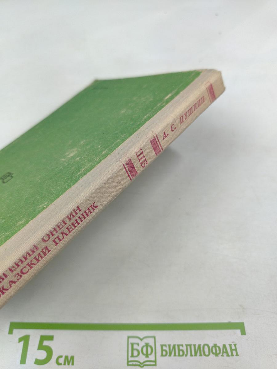 Евгений Онегин. Кавказский пленник