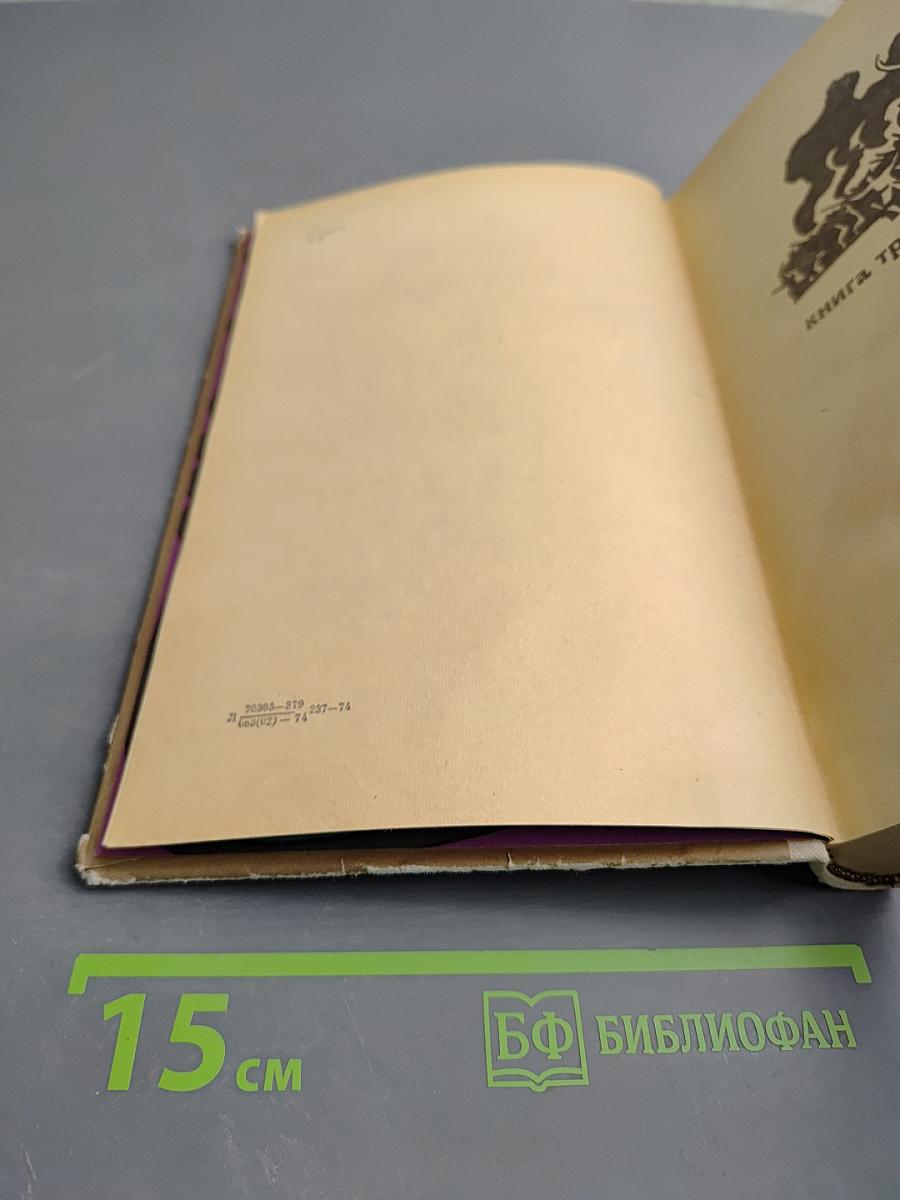 Хмельницкий. Книга третья