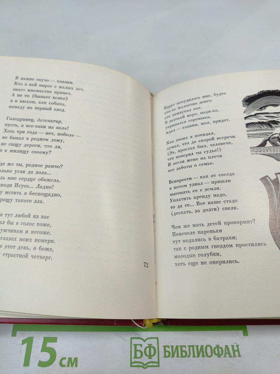 Мартин Фьерро