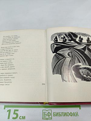 Мартин Фьерро