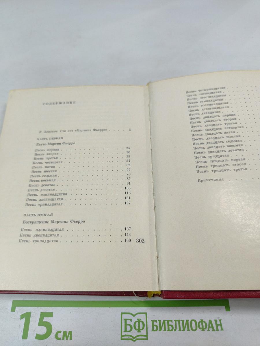 Мартин Фьерро