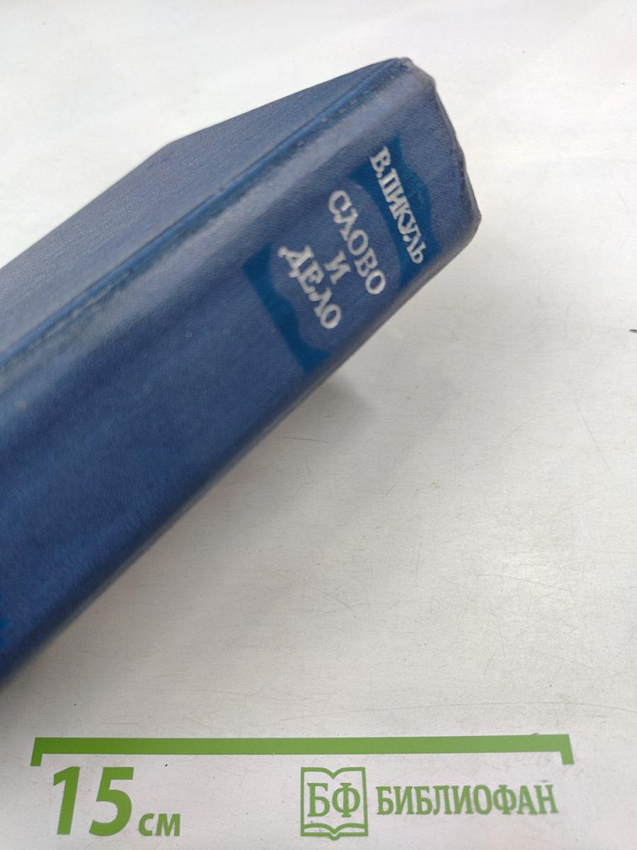 Слово и дело. Книга 1. Царица престрашного зраку