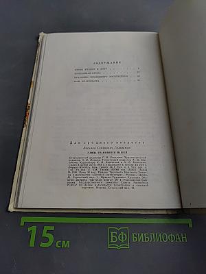 Улица становится нашей