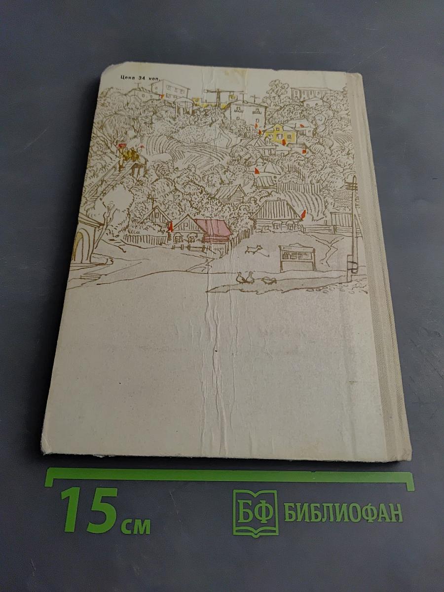 Улица становится нашей