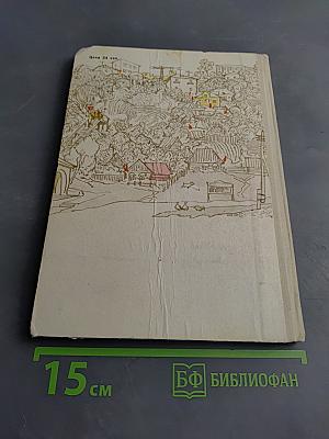 Улица становится нашей