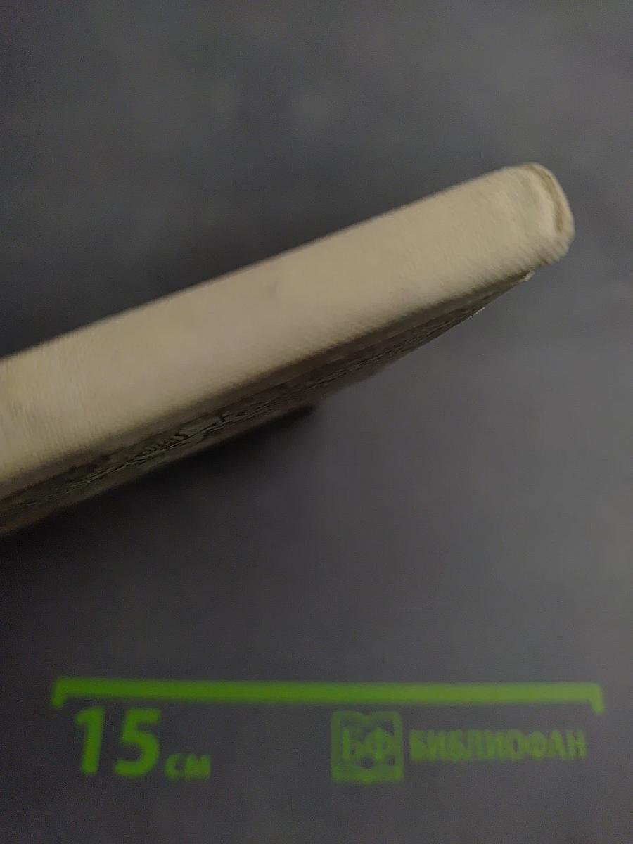 Улица становится нашей