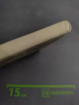 Улица становится нашей