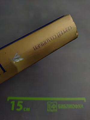 История России с древнейших времен. Том I