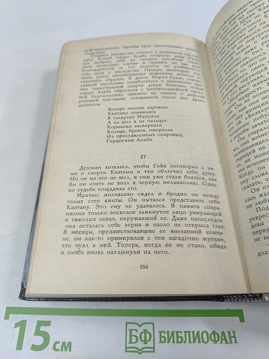 Гойя, или Тяжкий путь познания