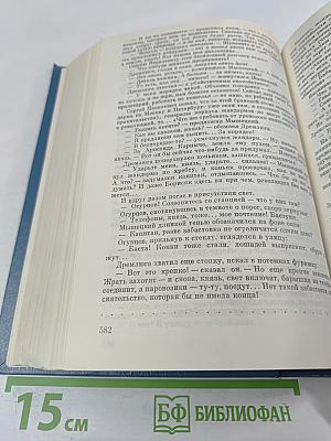 На задворках Великой империи. Книги первая и вторая