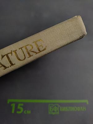 Английская литература для VIII класса