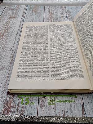 Ежегодник Большой Советской Энциклопедии 1981