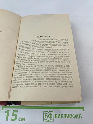 Карьера Ругонов