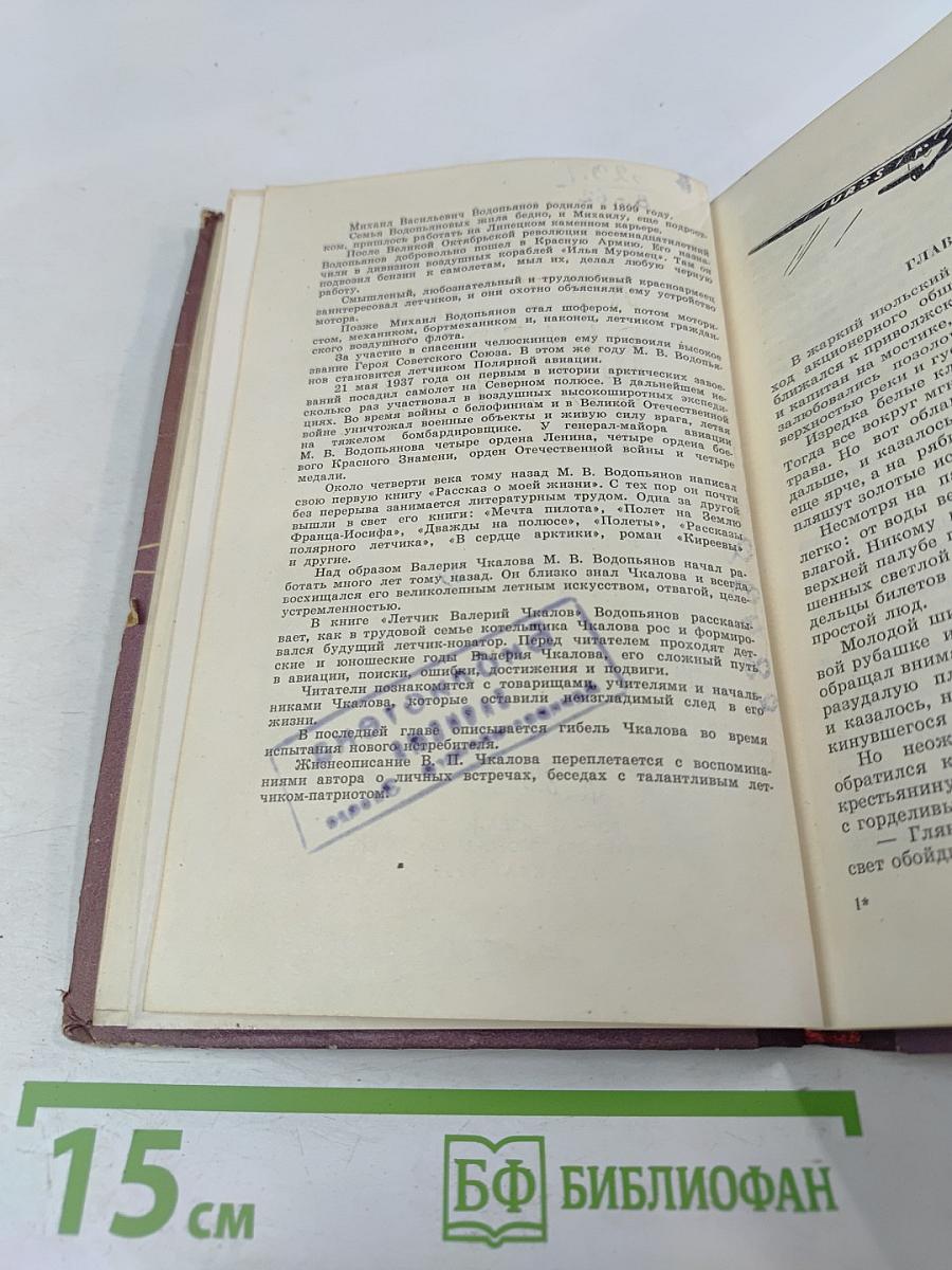 Летчик Валерий Чкалов