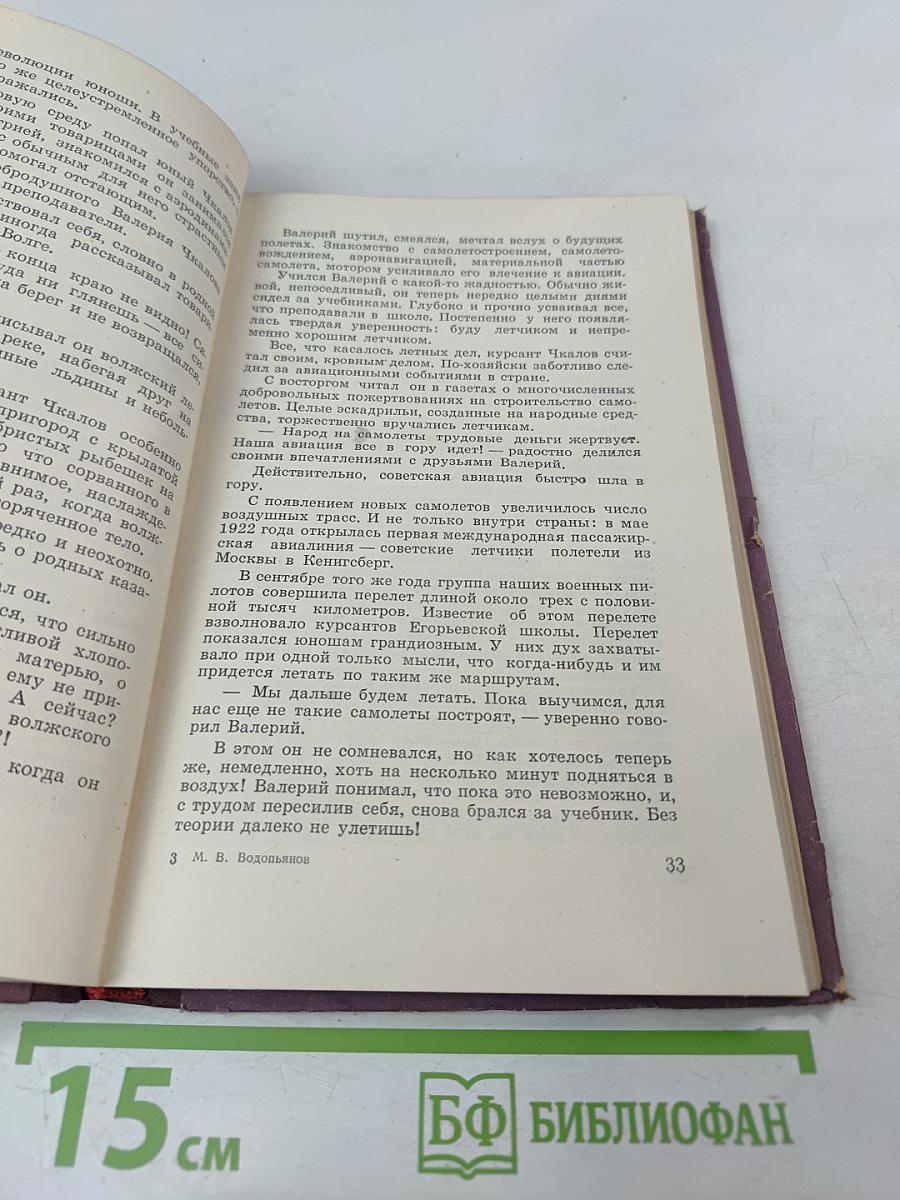 Летчик Валерий Чкалов