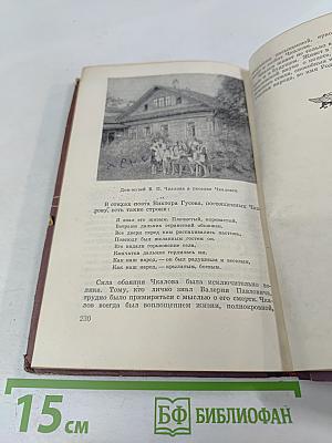 Летчик Валерий Чкалов