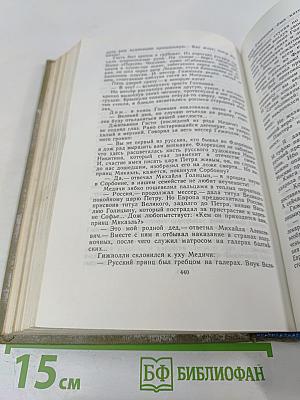 Слово и дело. Книга первая. Царица престрашного зраку
