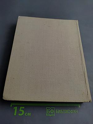 Мы - молодые