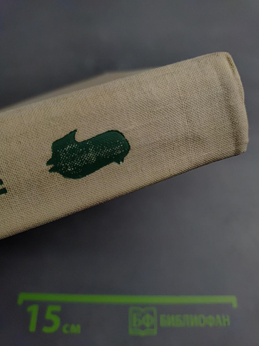 Мы - молодые