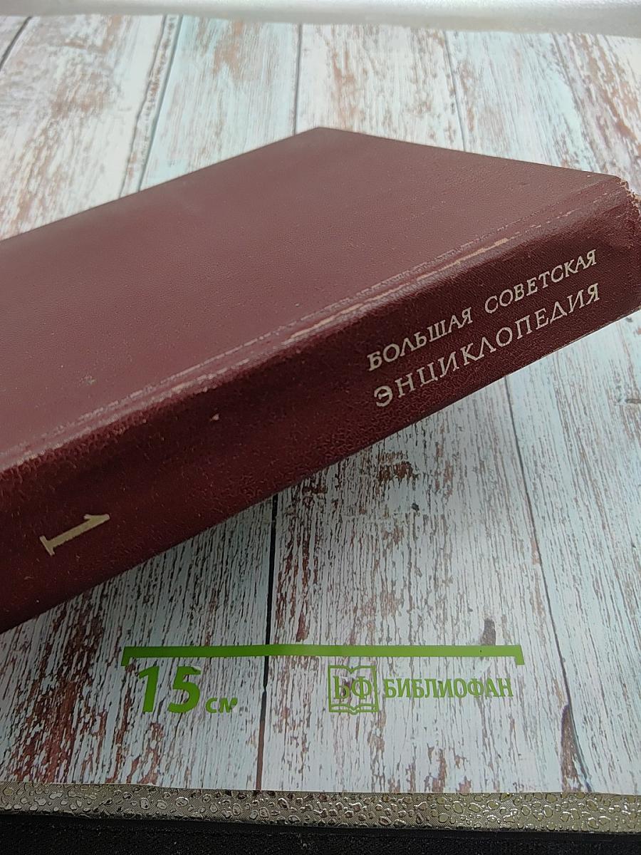Большая Советская Энциклопедия. Том 1: А-Ангоб