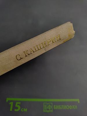 Полет на заре