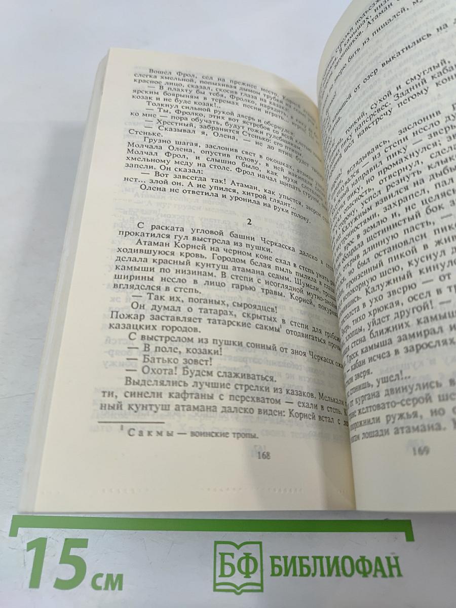 Разин Степан